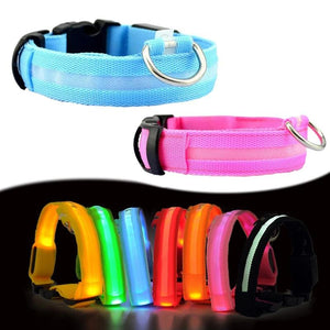 Nylon LED Pet Dog Collar,Night Safety Flashing Glow Leash