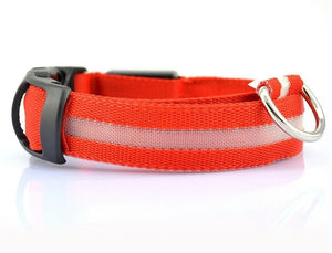 Nylon LED Pet Dog Collar,Night Safety Flashing Glow Leash