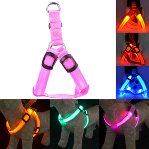Rechargeable LED Nylon Pet Dog Cat Harness Led Flashing Light Harness Collar Pet Safety Led Leash Rope Belt Dog Accessories