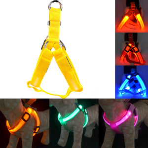 Rechargeable LED Nylon Pet Dog Cat Harness Led Flashing Light Harness Collar Pet Safety Led Leash Rope Belt Dog Accessories